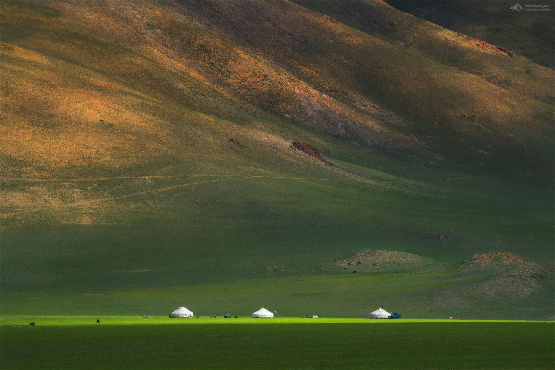 ТРИО монголия mongolia монгольский алтай западная пейзажи монголии пейзаж юрта юрты фототур в монголию nomad golden eagle festival беркутчи