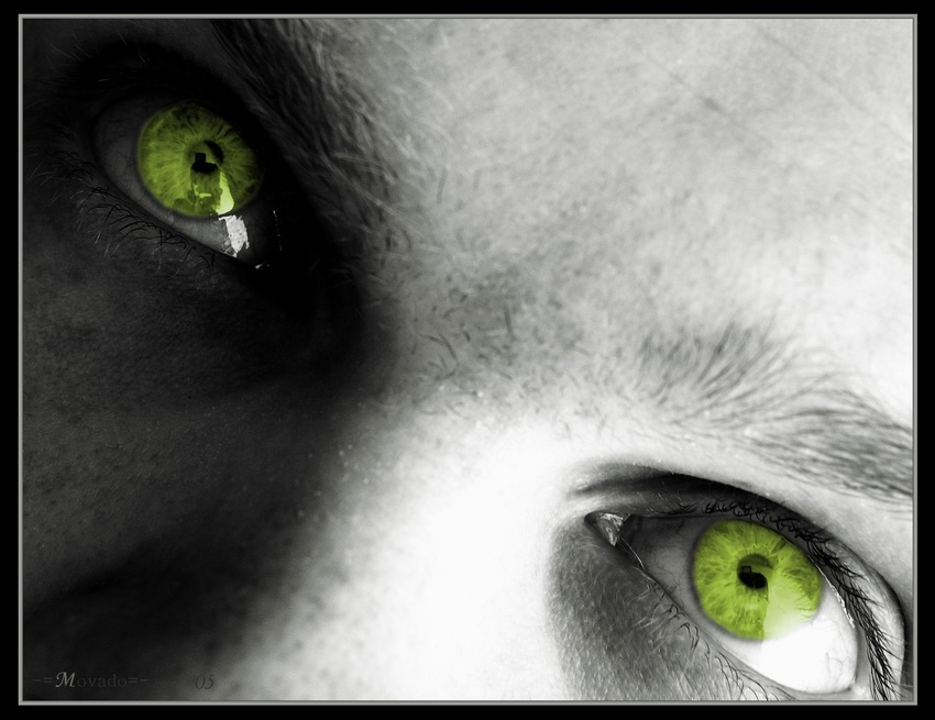 ...if you want to open new worlds - just look into yourself.... #2 