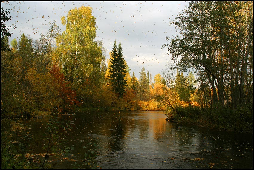 Воспоминания об осени лес,речка,листопад