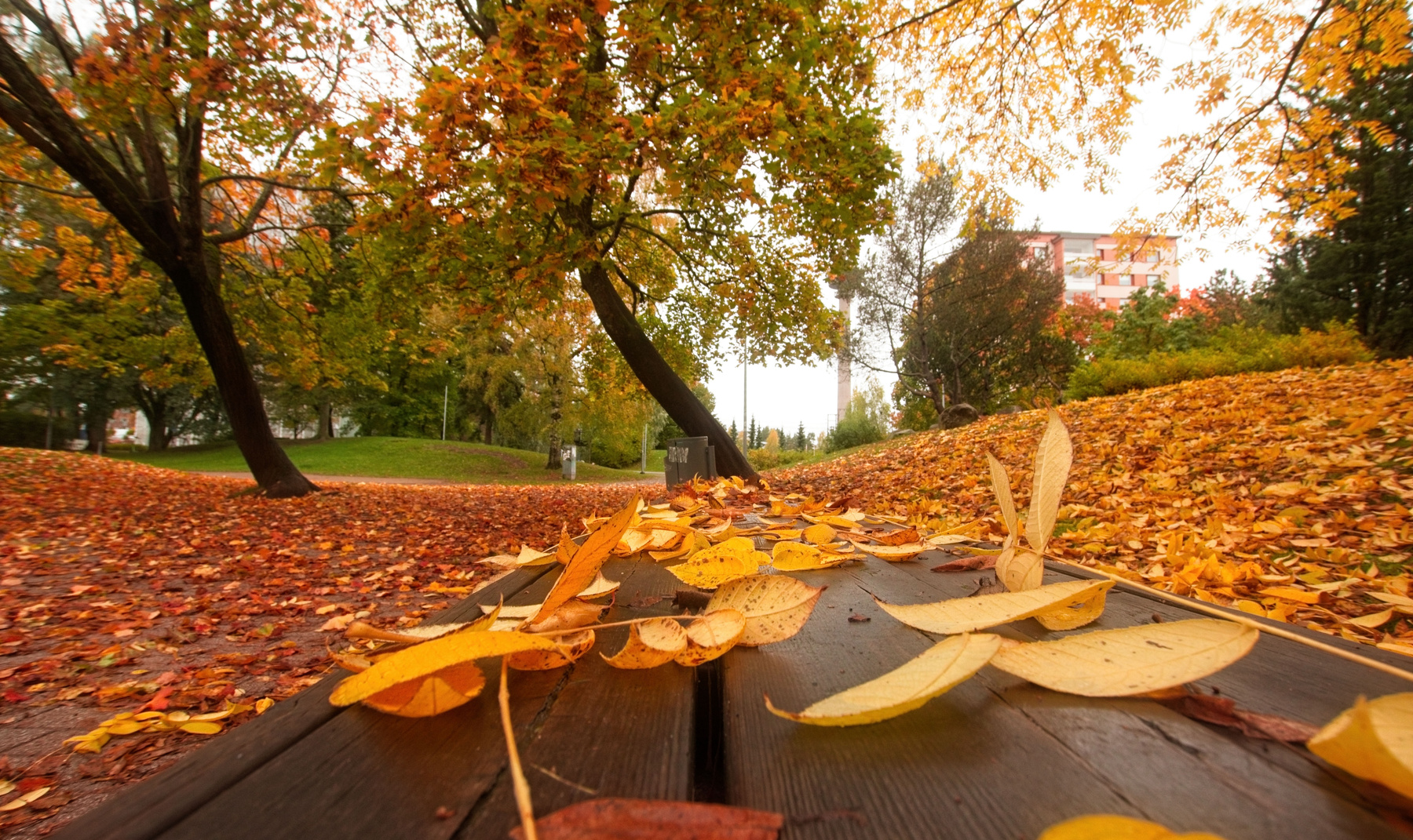 *** город Тампере Tampere