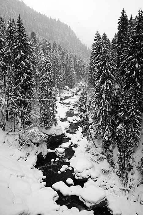 черно-белая погода black and white snow weather