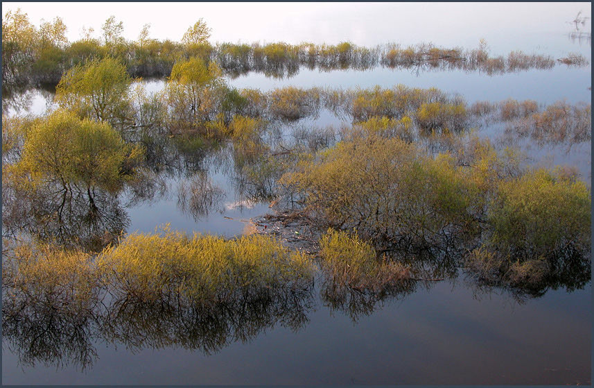 Растворяясь.... небо вода бесконечность