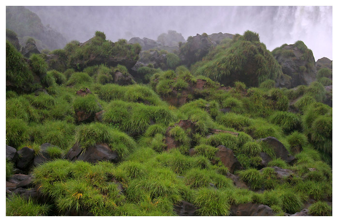 Foz de Iguacu 