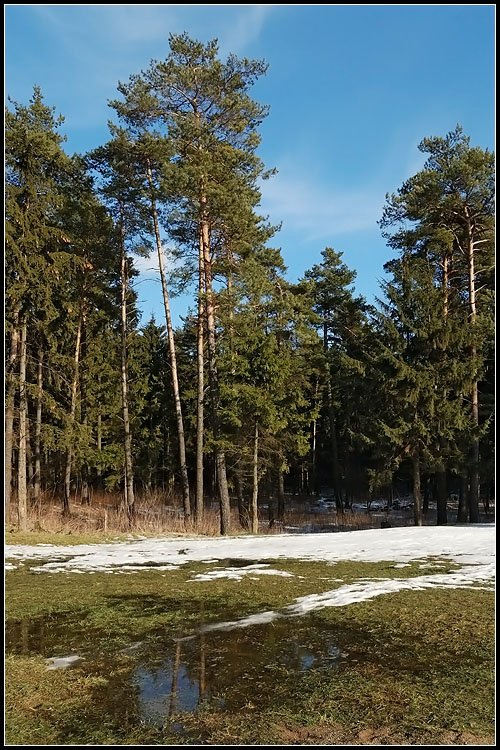 Весна весна
