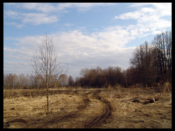 Заречье. 
