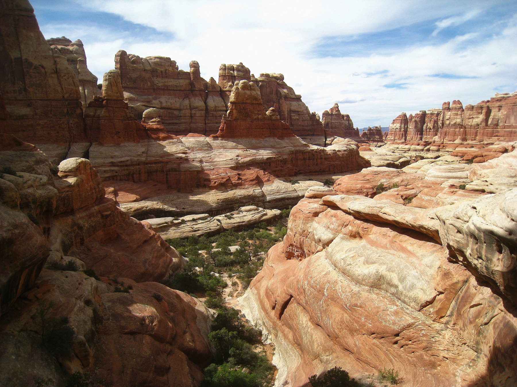 Элефант Каньон (Elephant Canyon) в Национальном парке Каньонлендс. Америка пейзаж скалы дюны песок природа