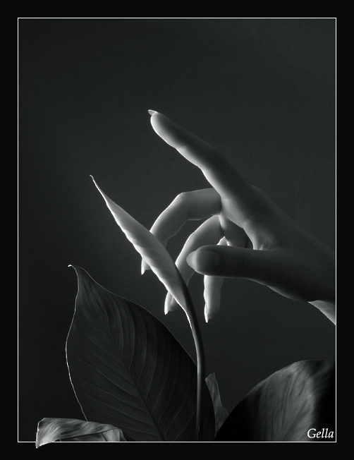 Touch touch