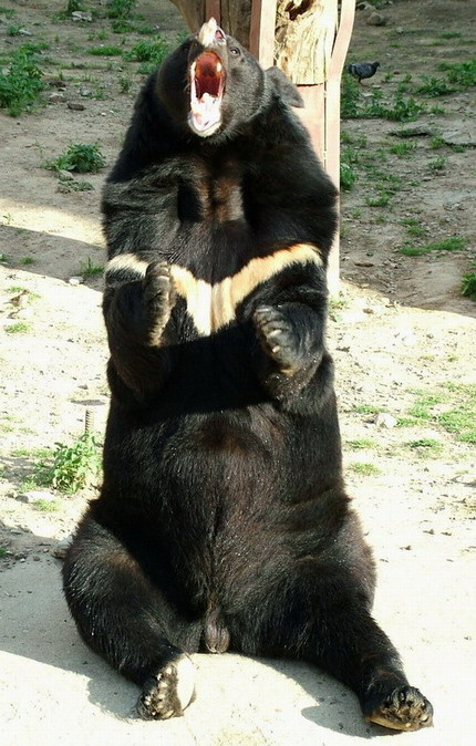 Скажите ААААААА...... 