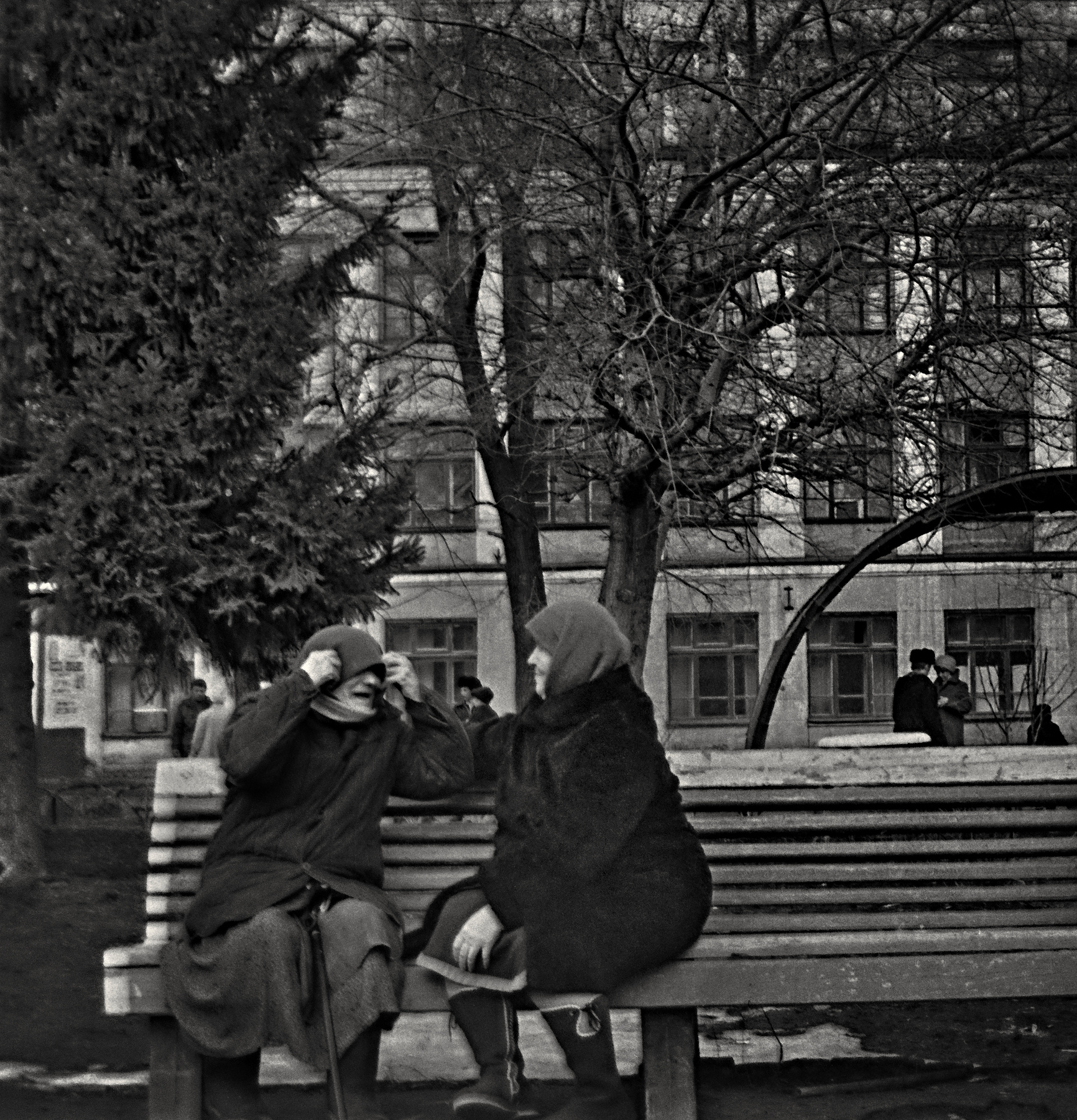 *** плёнка