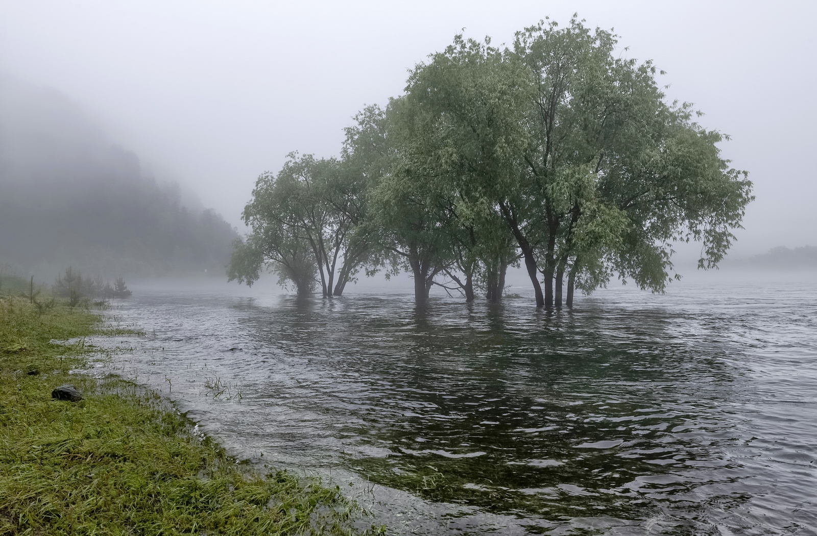 Большая вода Сибирь Енисей