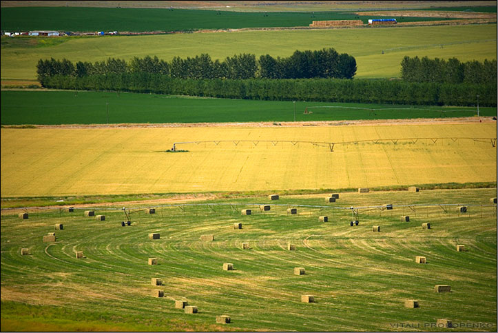 *** 