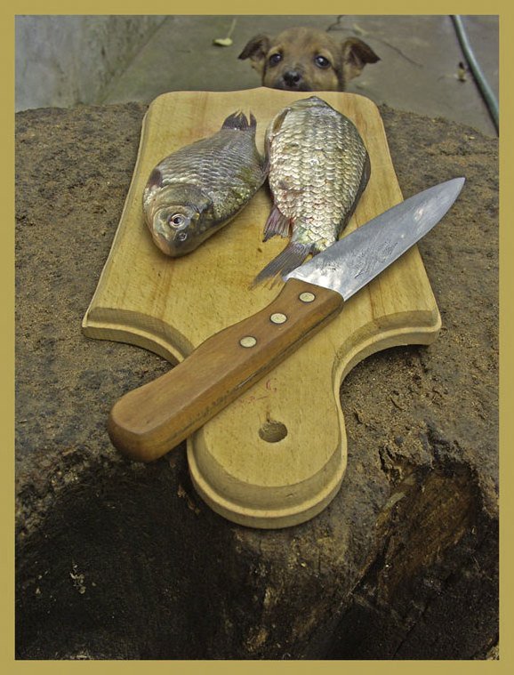 А что там есть вкусненького? 
