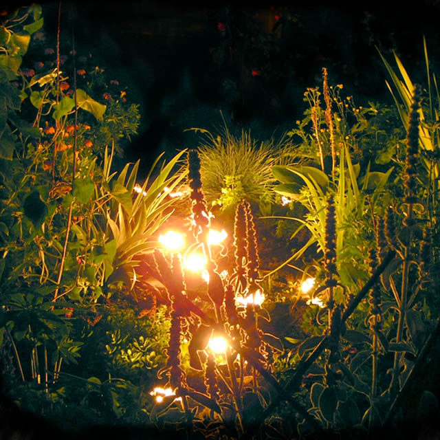 Light of sprite огонь трава земля фейри джентри ночь тайна