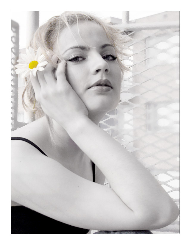 :: le romantique :: le romantique