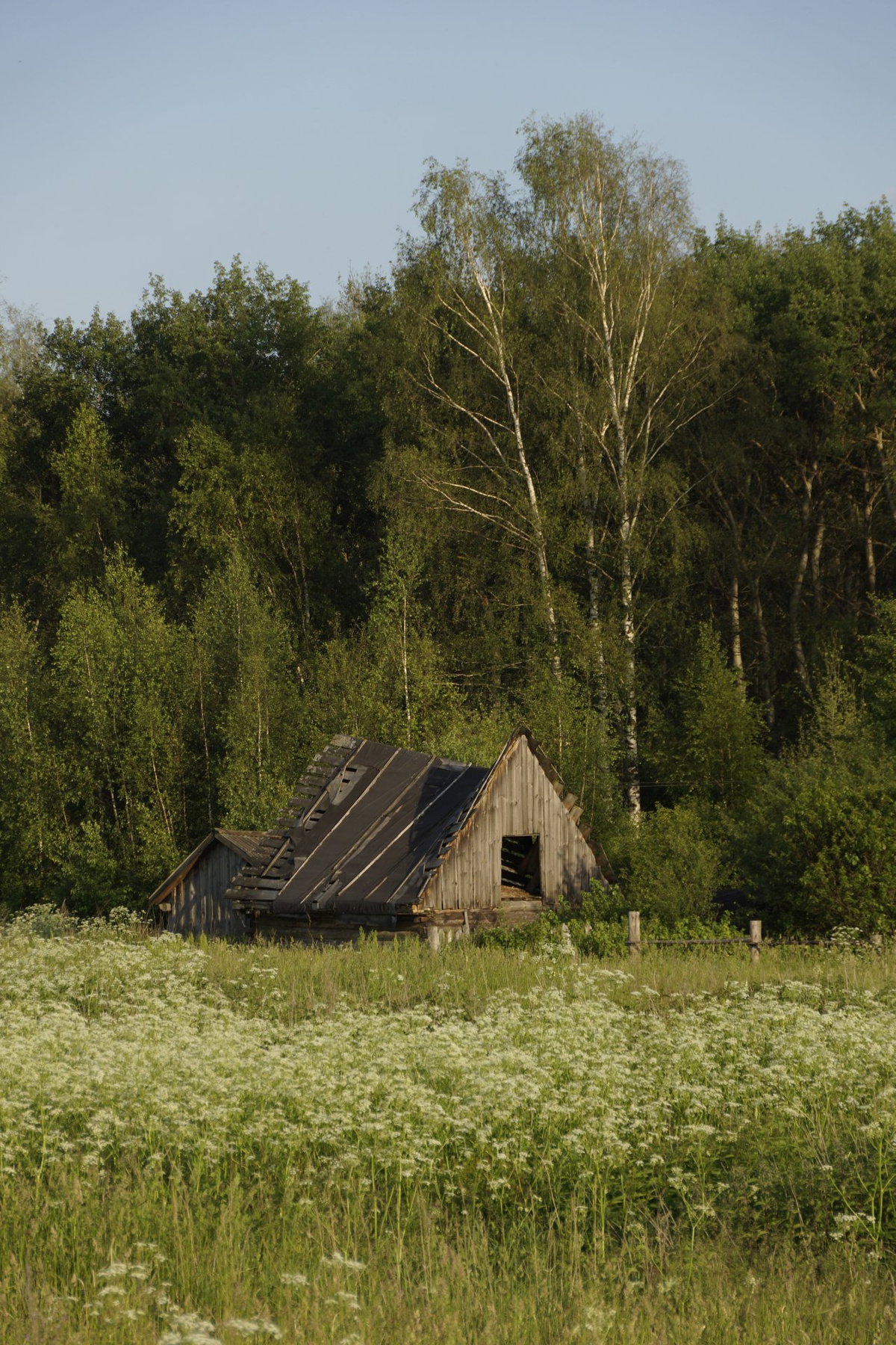 *** Природа, поле, лес, дом, заброшенность