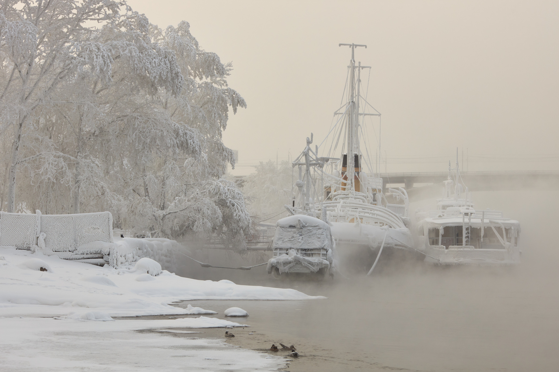 замерзшие корабли красноярск Енисей корабль зима мороз