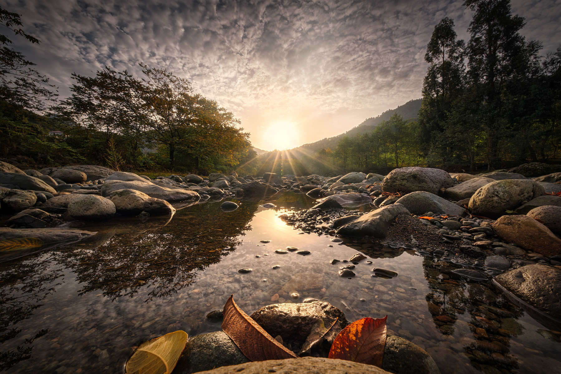 Sunny Autumn Day In Chakvistskali River сhakvistskali valley autumn fall tree plants rocks stones nature landscape scenery travel outdoors georgia adjara sakartvelo chizh