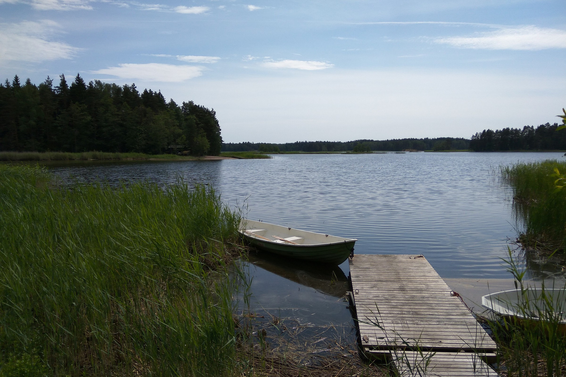 Lupinlahti 