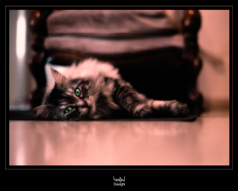 Model #2 модель model boyd