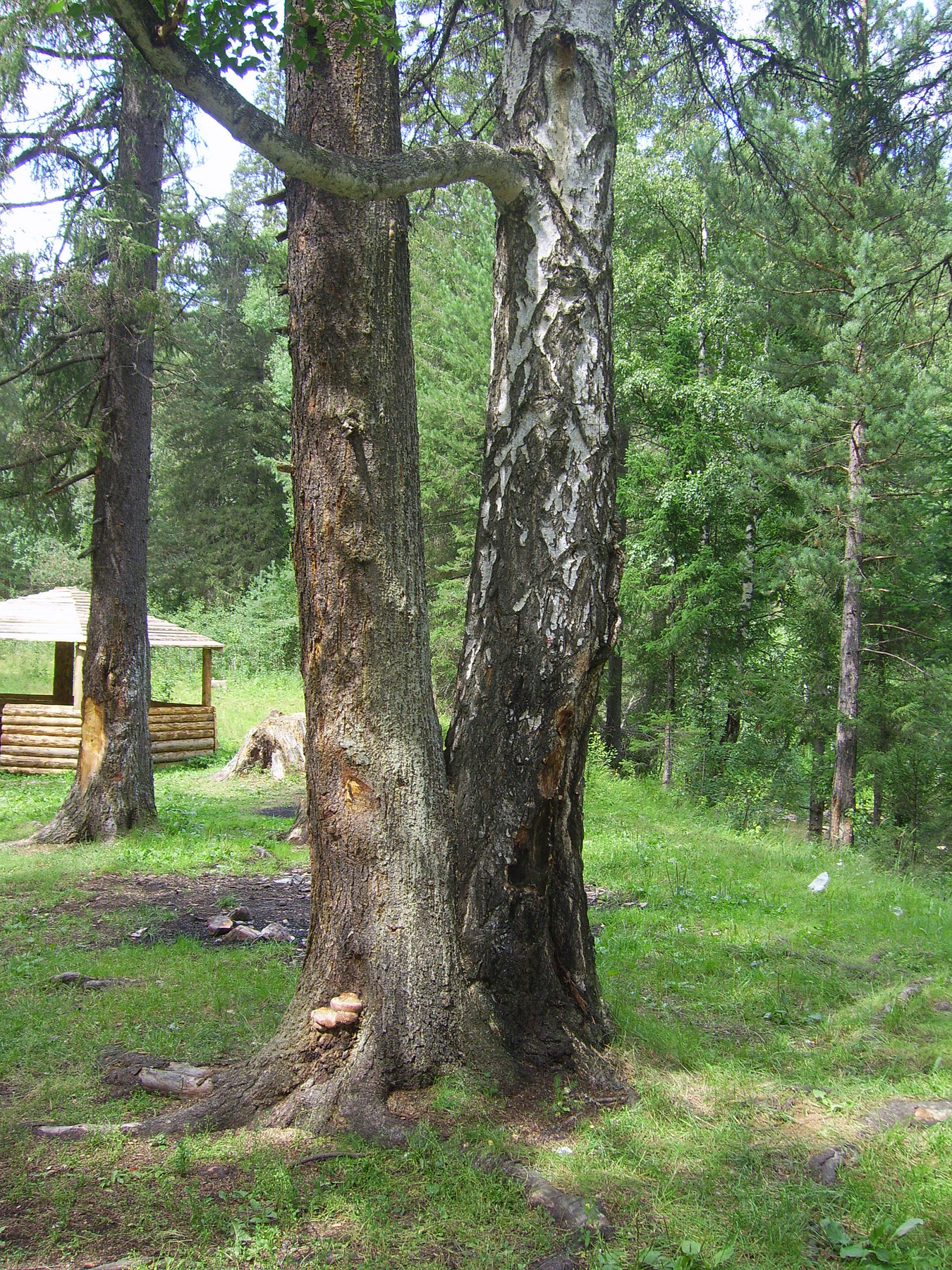 Симбиоз Башкирия. Южный Урал 