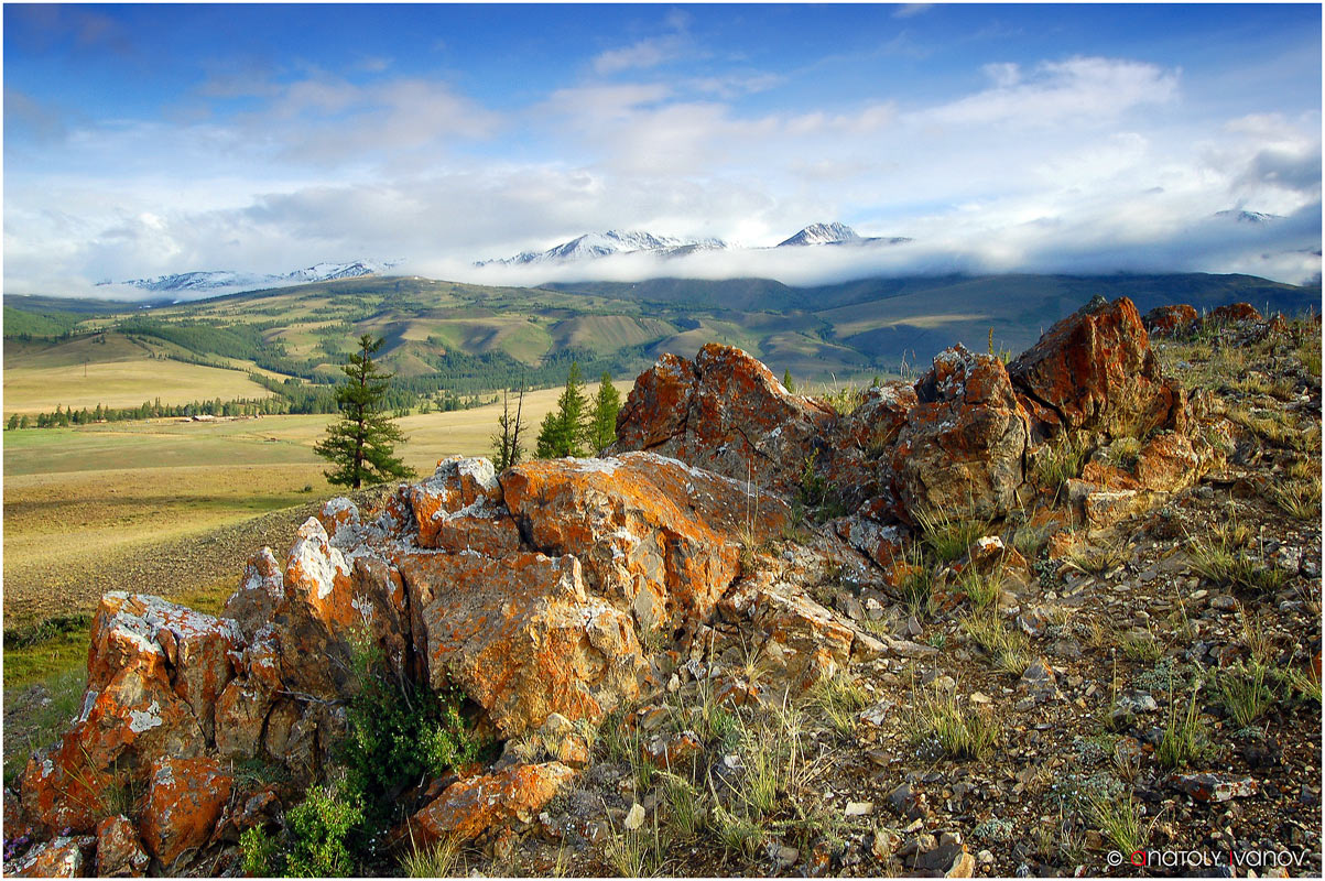Камни Курая Горный Алтай, Курайская степь