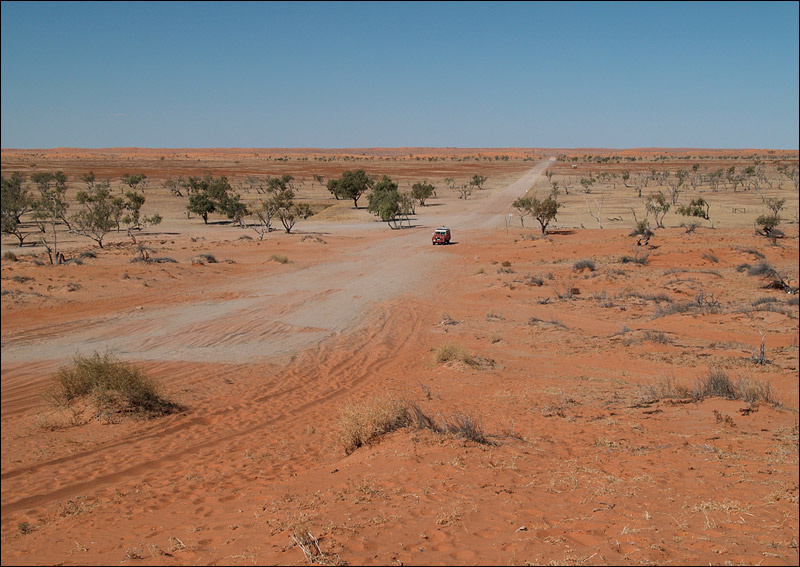 Going over Big Red Big Red dune Simpson deser