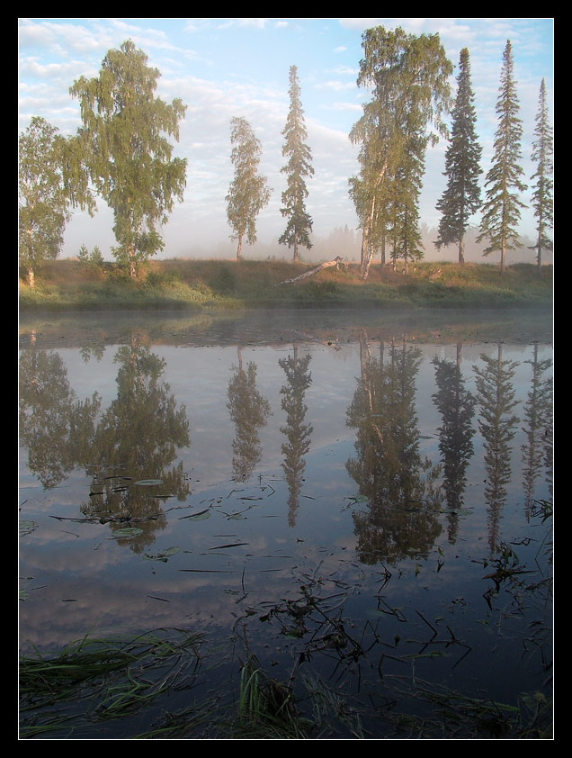 ***** восход,деревья,озеро,август.
