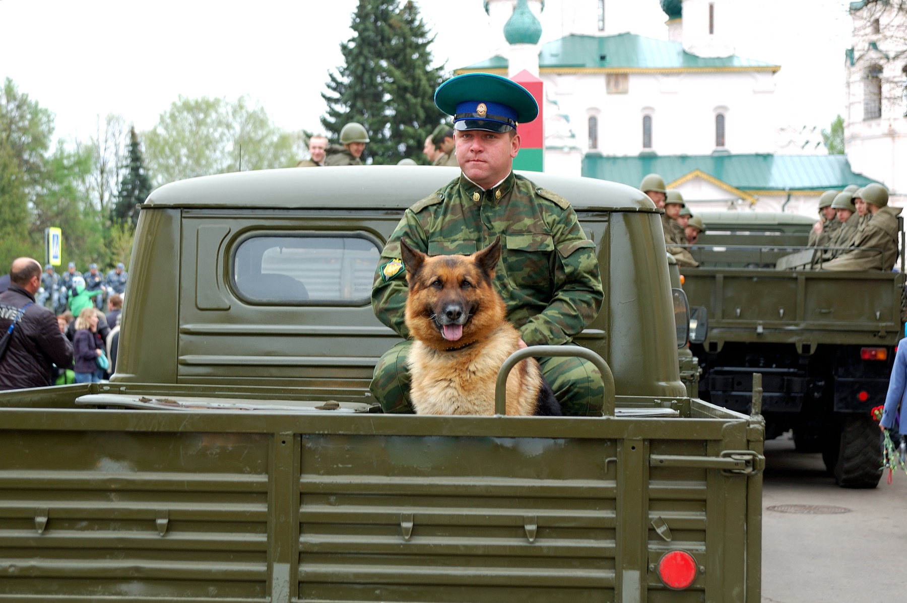 Враг не пройдёт ярославль парад военный собака овчарка
