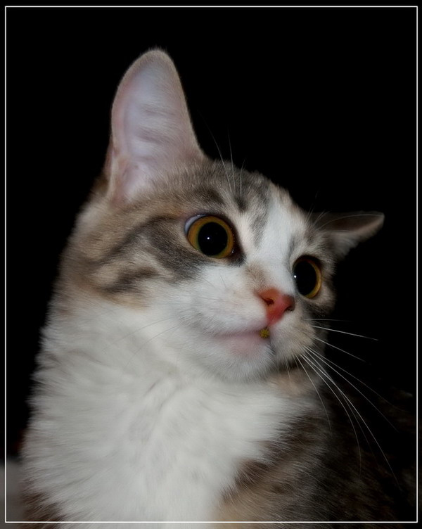 Соня 