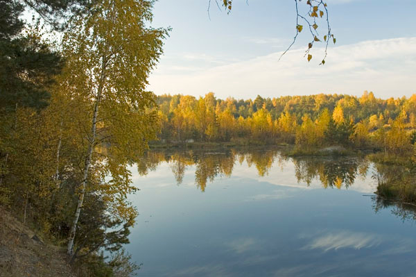пейзажи Подмосковья 