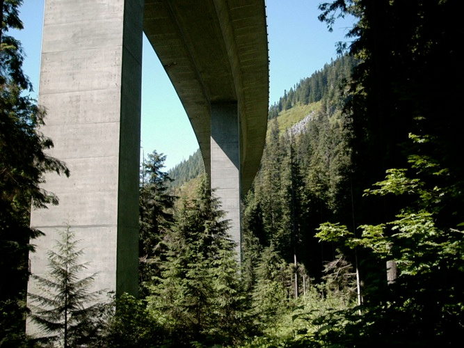 цивилизация highway Сиэтл лес