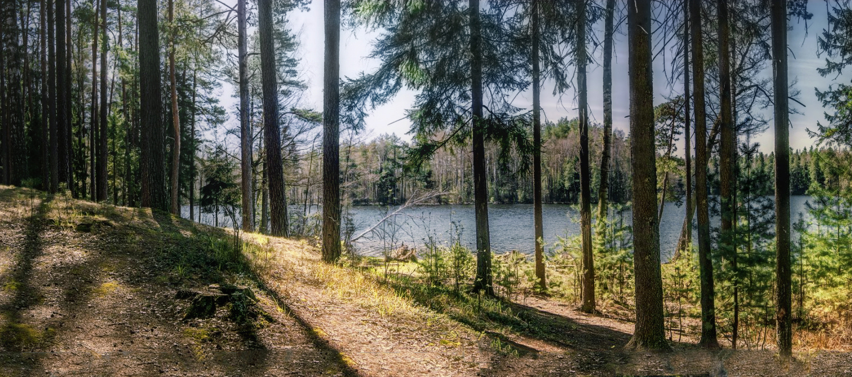 ***Весенним утром на озере. 