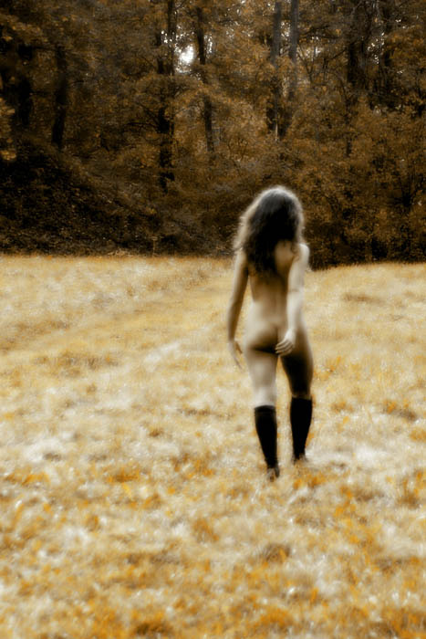 golden fall #1 
