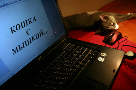 Кошка с мышкой... кошка мышка