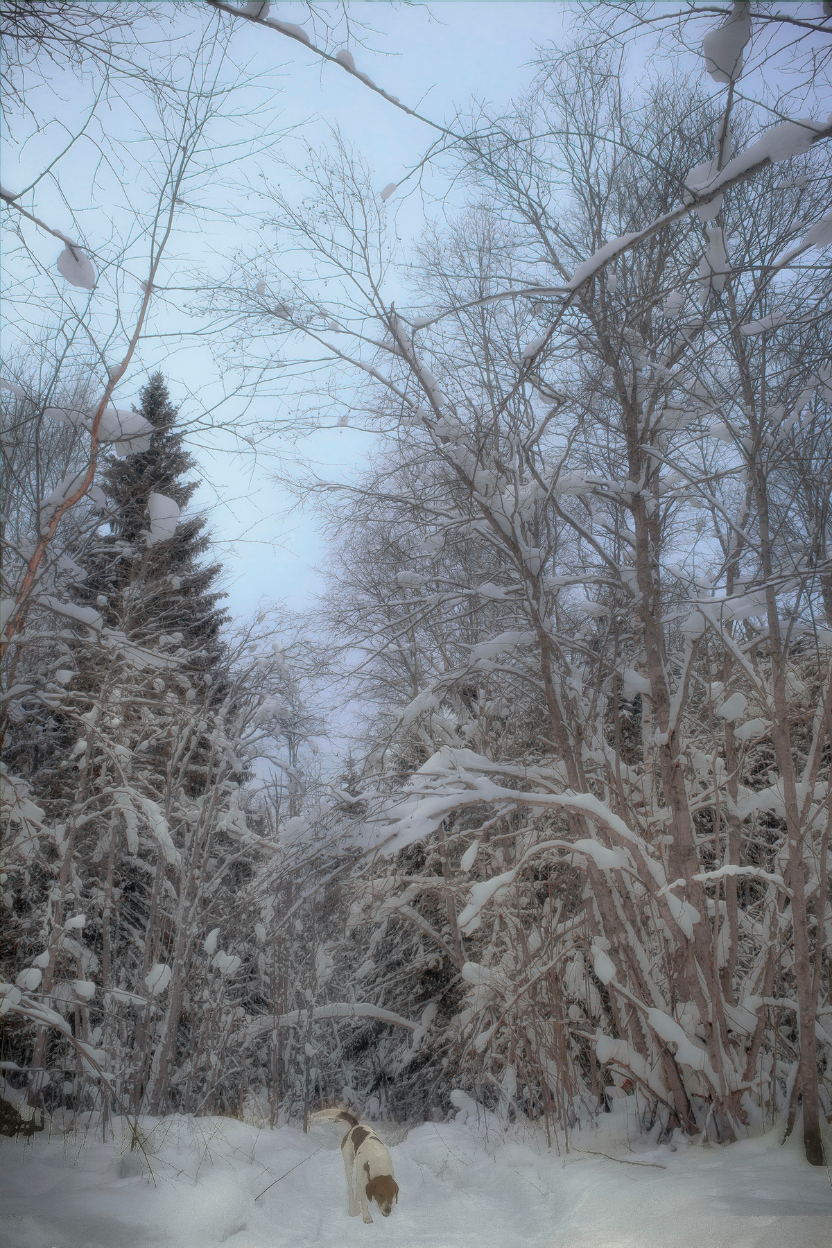 Hot on the Trail hunting