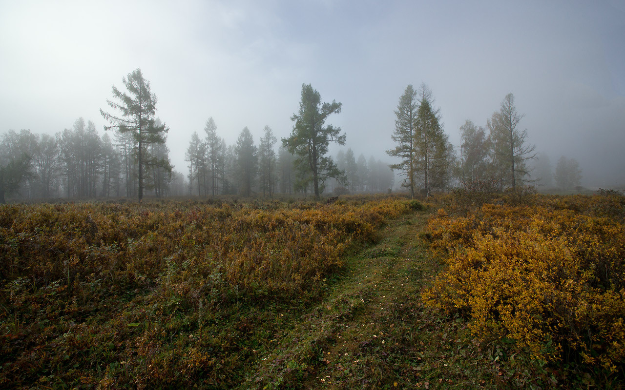 Туманы Тюнгура (2) 