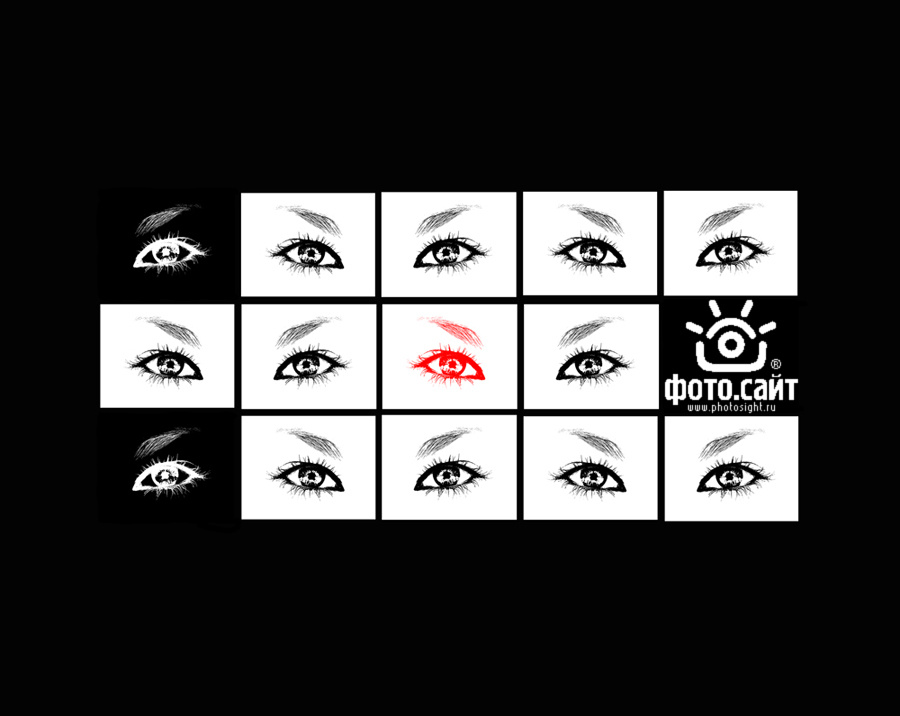 = www.photosight.ru = www.photosight.ru