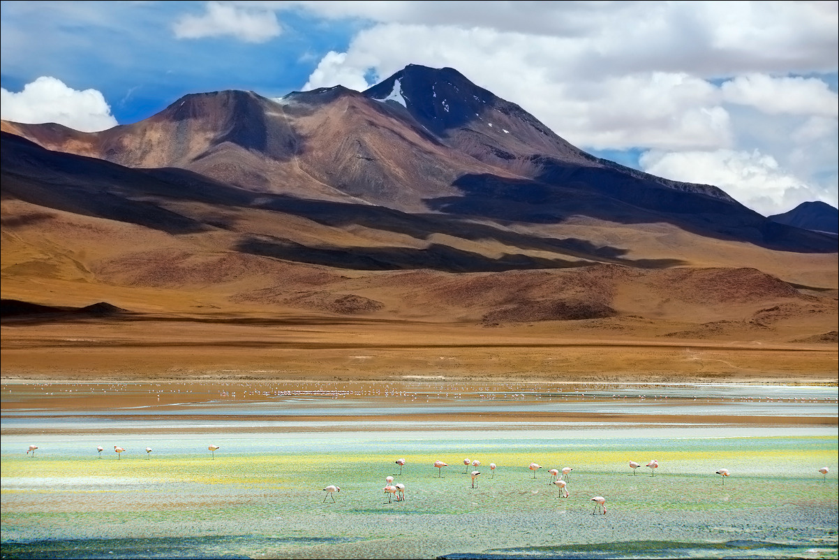 Hedionda боливия, лагуна, цвет, bolivia, фламинго, 