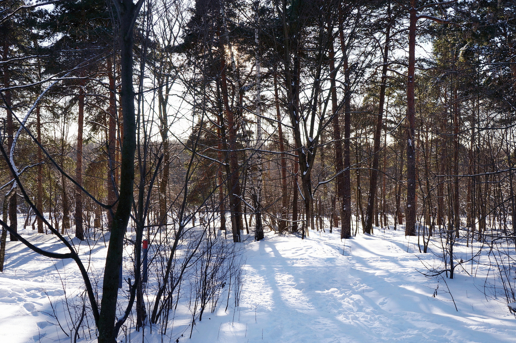 зимняя зарисовка 