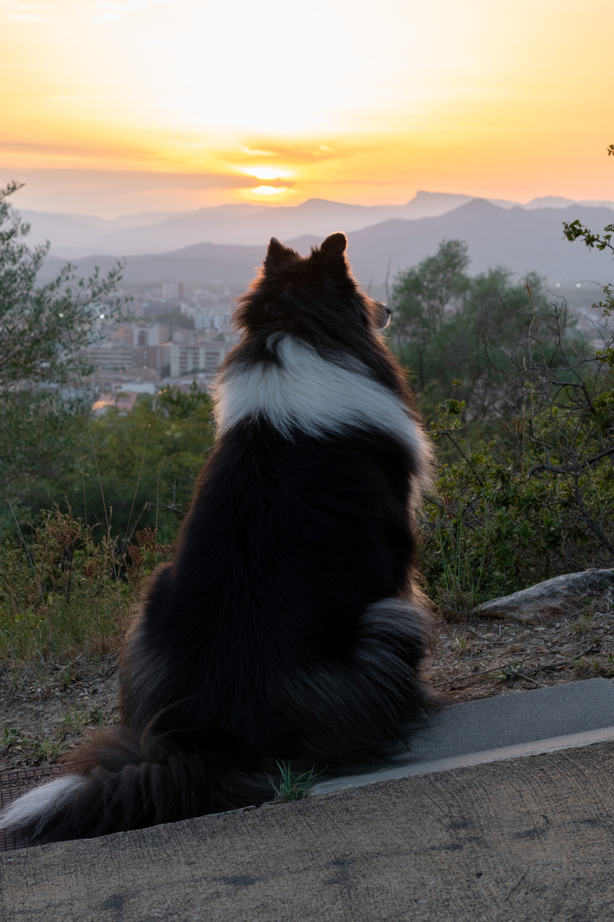 Au coucher du soleil... 