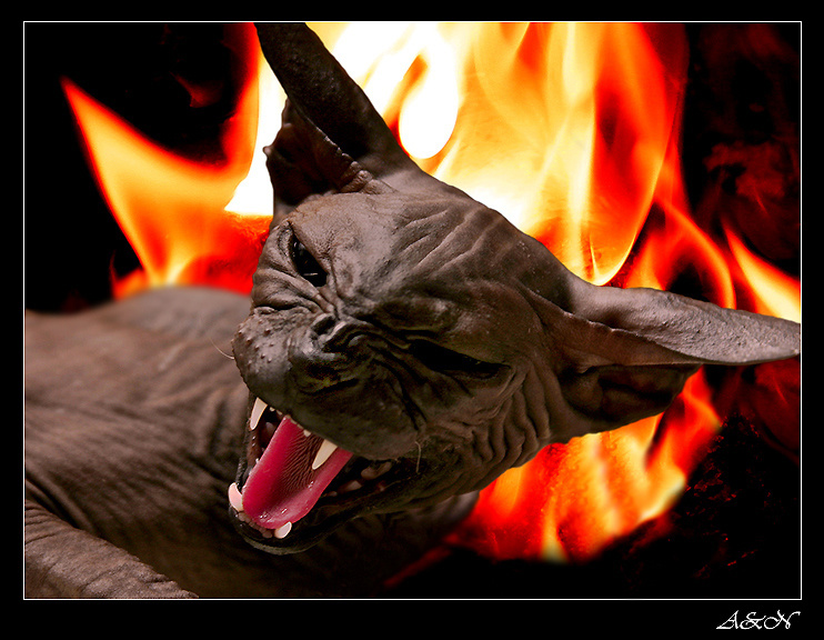 Demon rise... для дона Ионик. Рожденная в пламени