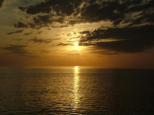 landscape Природа