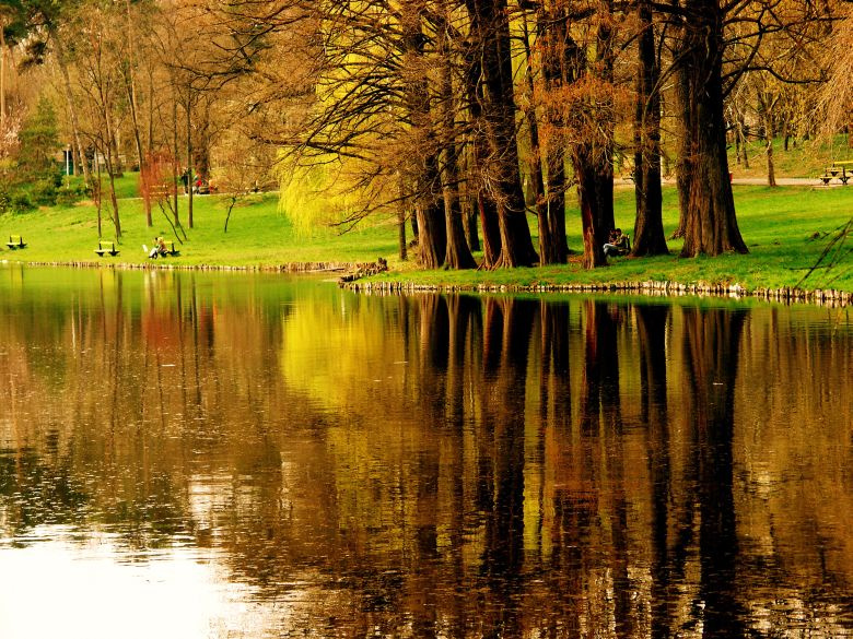 Reflexions 