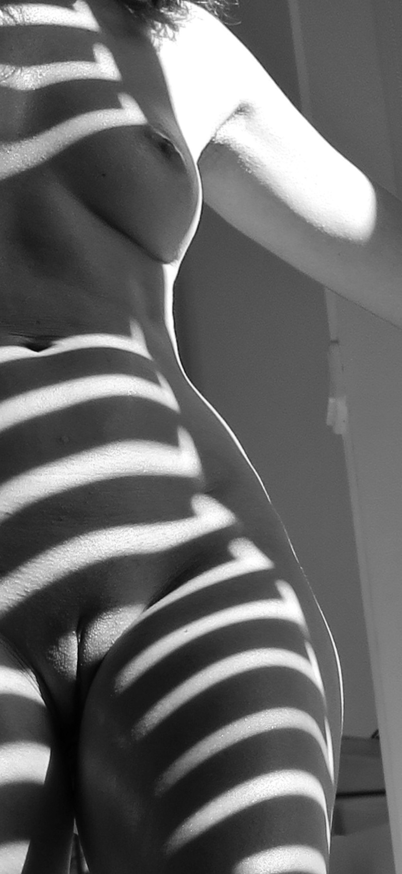 Shadow 