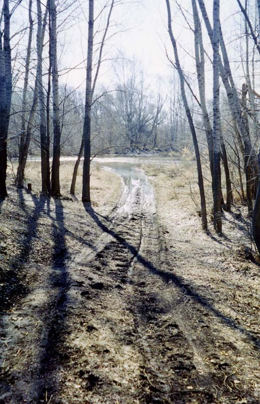 Аромат весны 