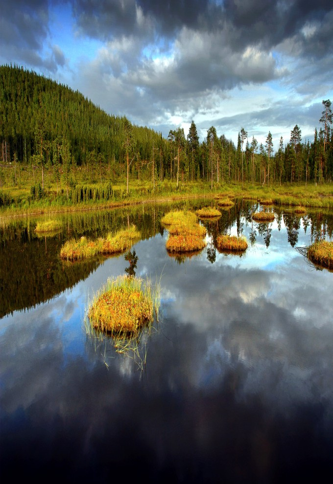 Солнечная осень 