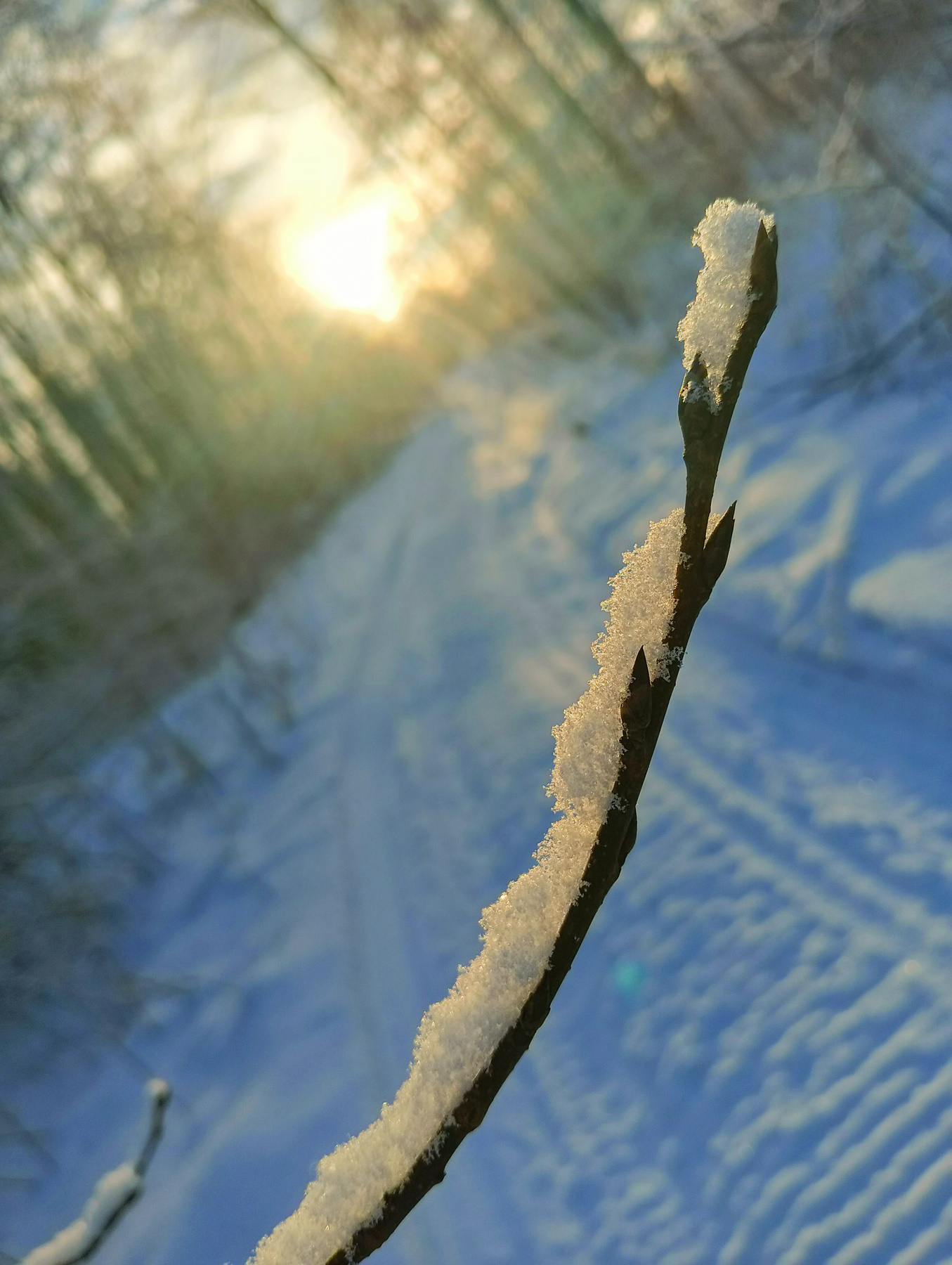 С наступающим новым годом! 