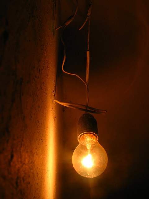 bulb 