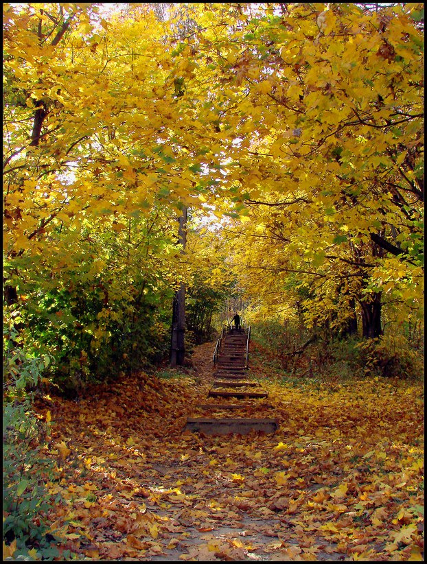 В переулке бабьего лета 