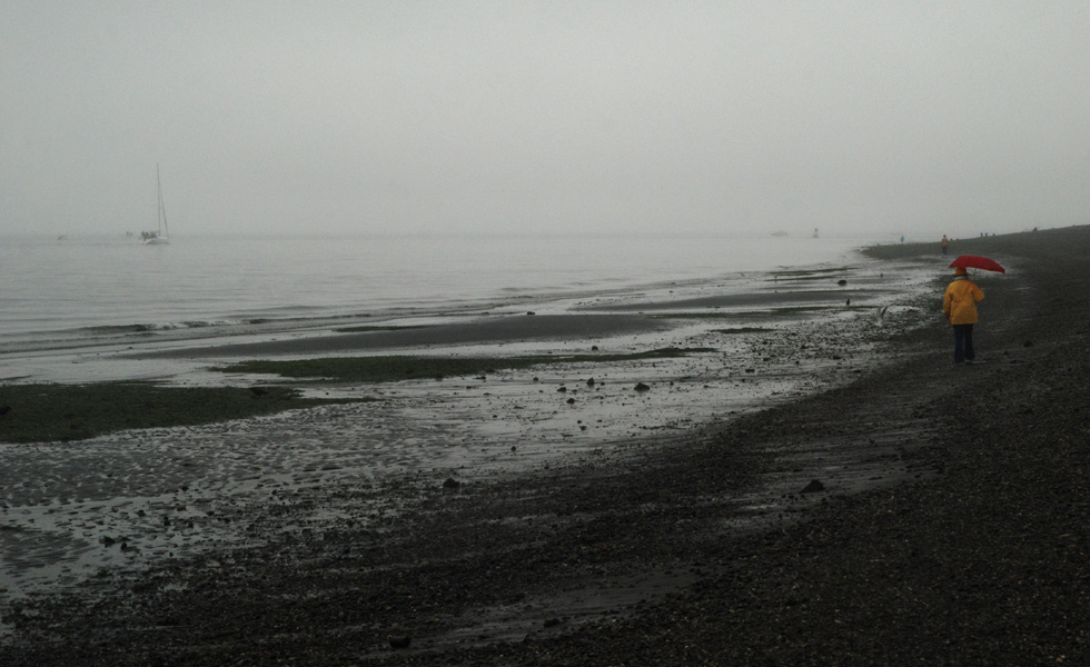 морские медленные воды Seattle